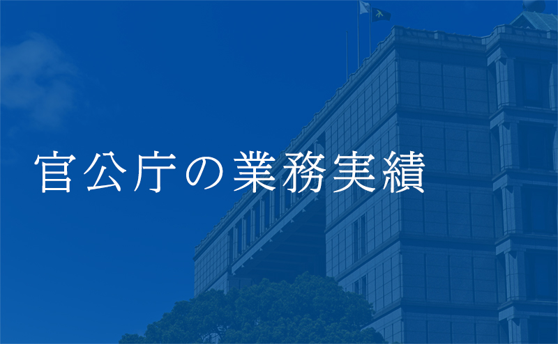 官公庁の業務実績