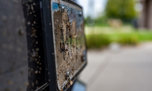 ナンバープレートが汚れている