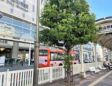 伊予鉄道「松山市駅」のバス乗り場がある出口を出ます。